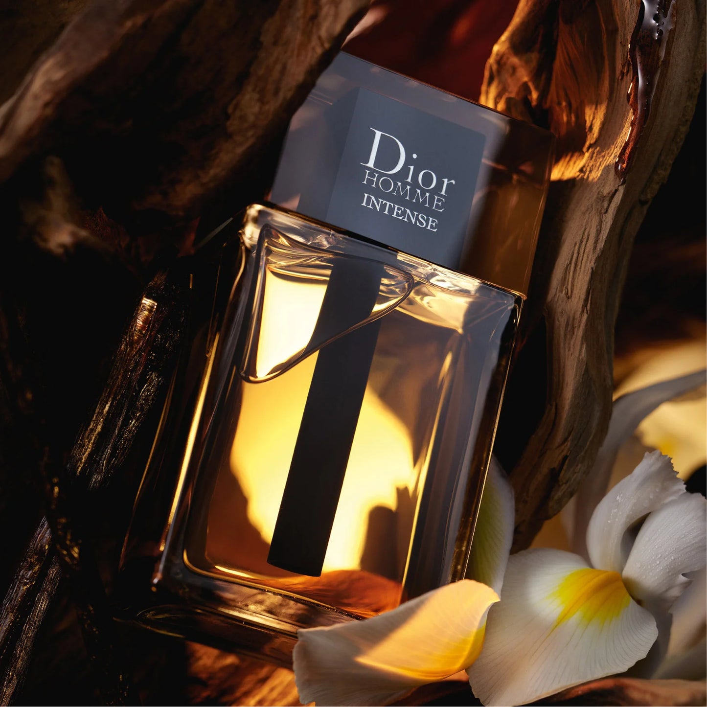 Dior Homme Intense EDP- Decant