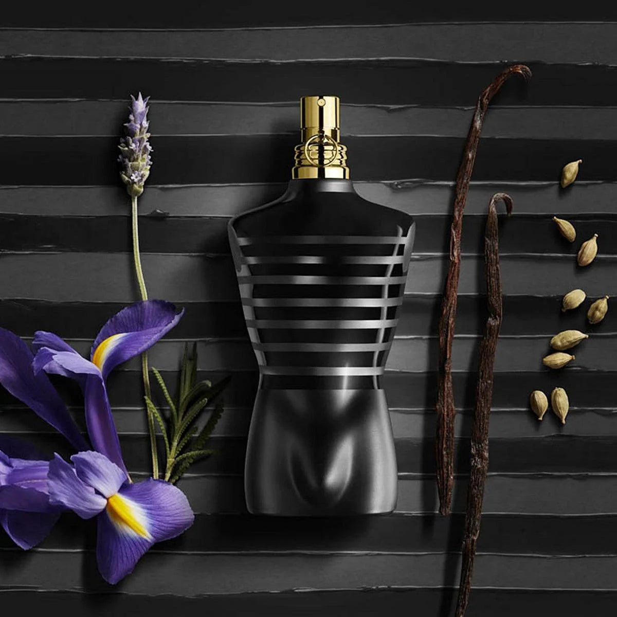 Le Male Le Parfum (EDP)-Decant